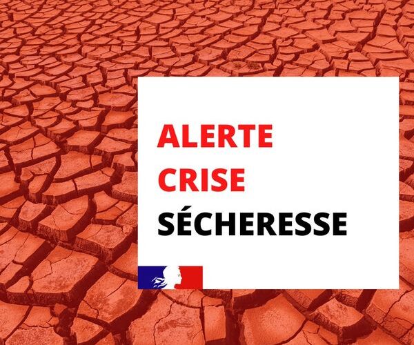 Sécheresse : alerte crise
